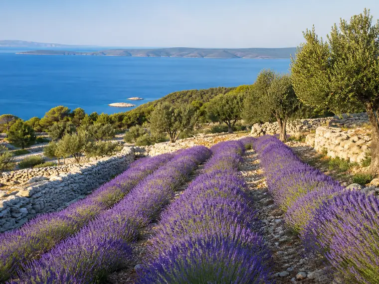 Hvar