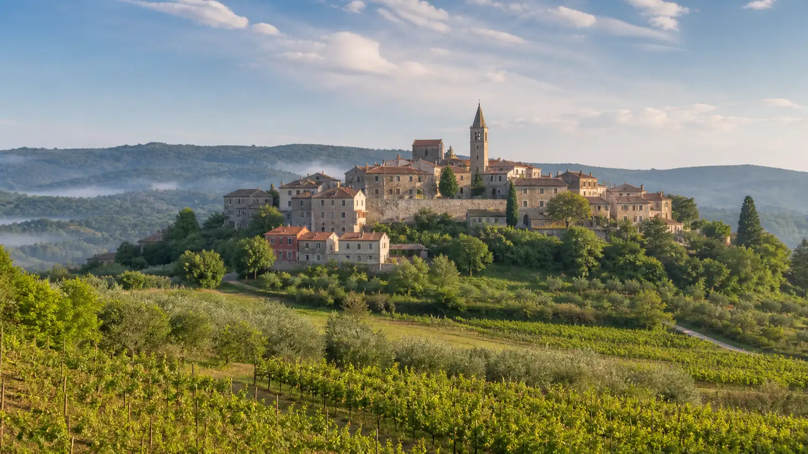 Mittelalterliche Hügelstadt im istrischen Landesinneren über Weinbergen