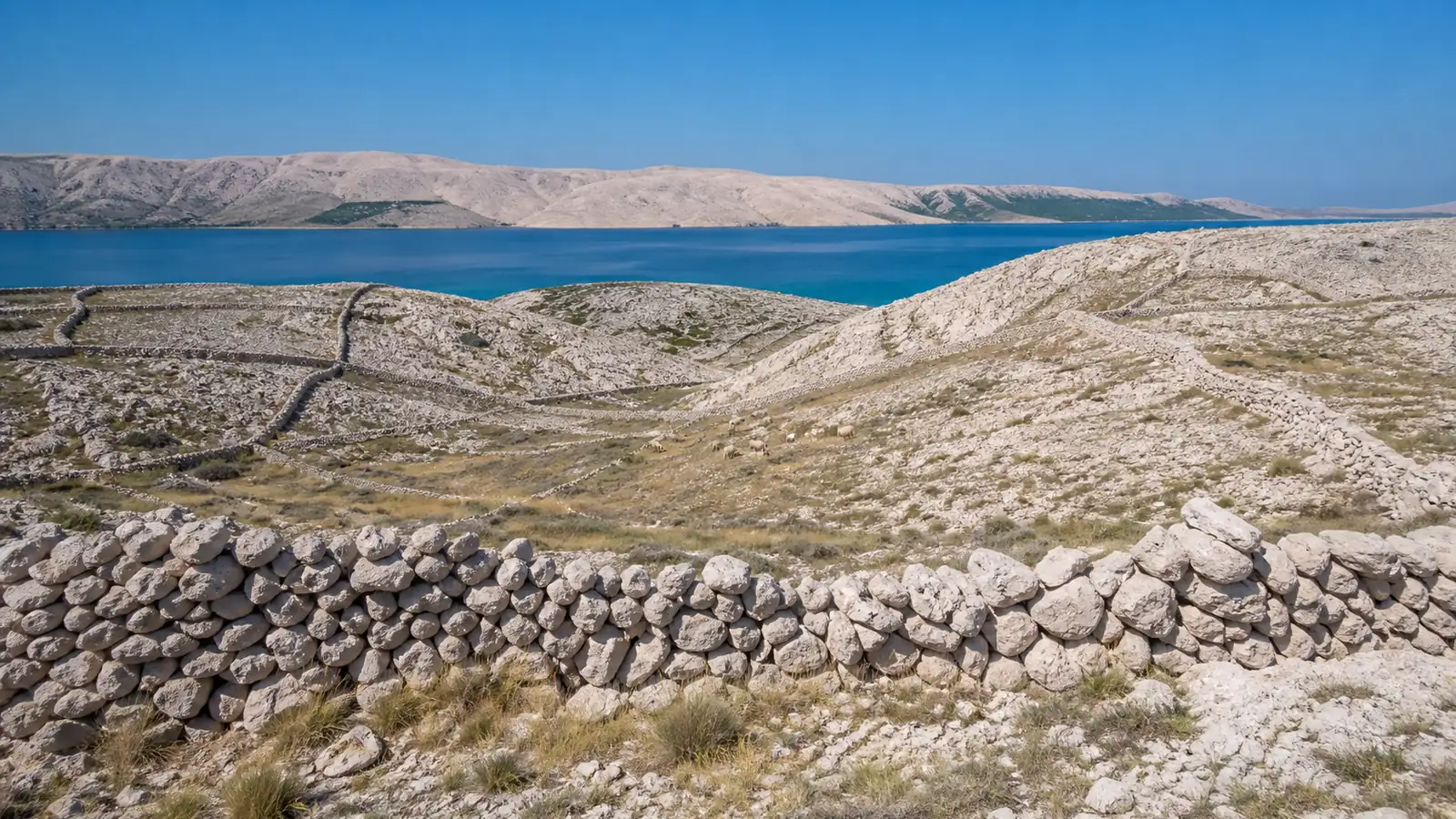 Karge weiße Karstlandschaft mit Trockenmauern auf der Insel Pag